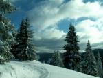 Nízke Tatry 5